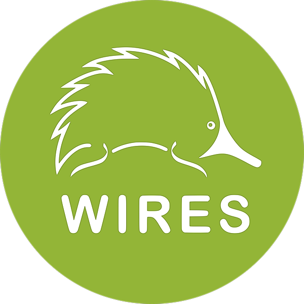 WIRES Illawarra
